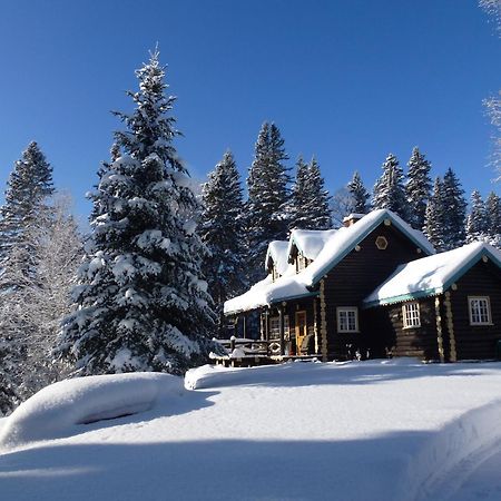 Domaine Le Bostonnais - Le Village En Bois Rond La Tuque Esterno foto