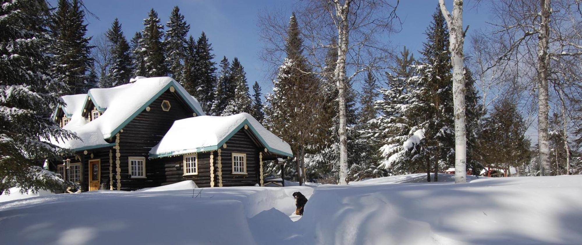 Domaine Le Bostonnais - Le Village En Bois Rond La Tuque Esterno foto
