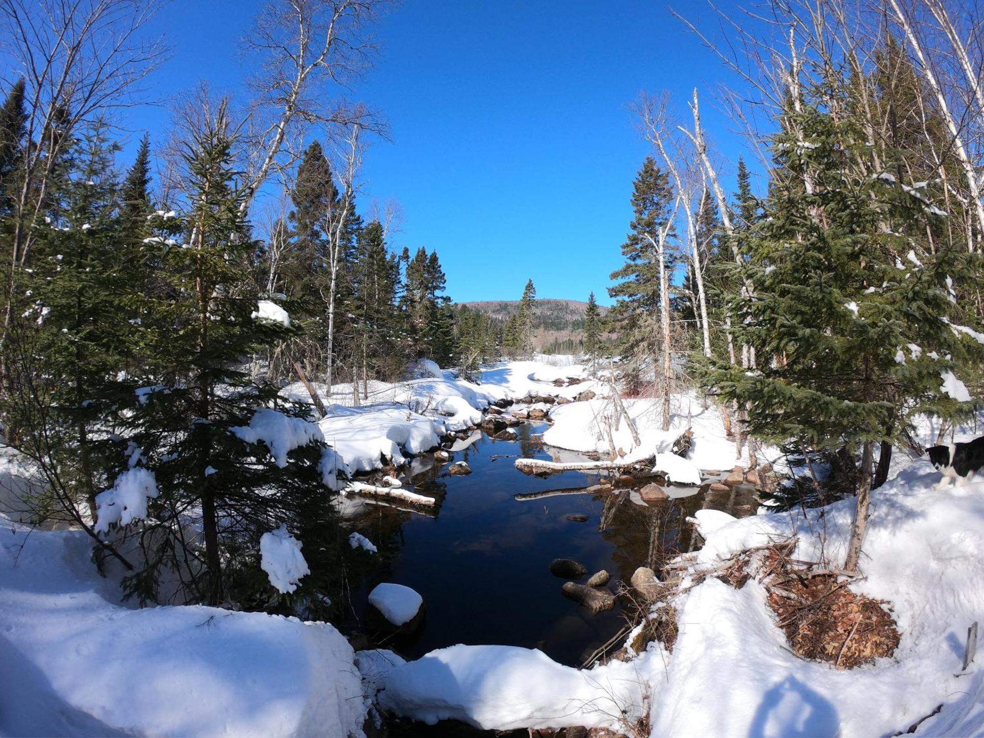 Domaine Le Bostonnais - Le Village En Bois Rond La Tuque Esterno foto