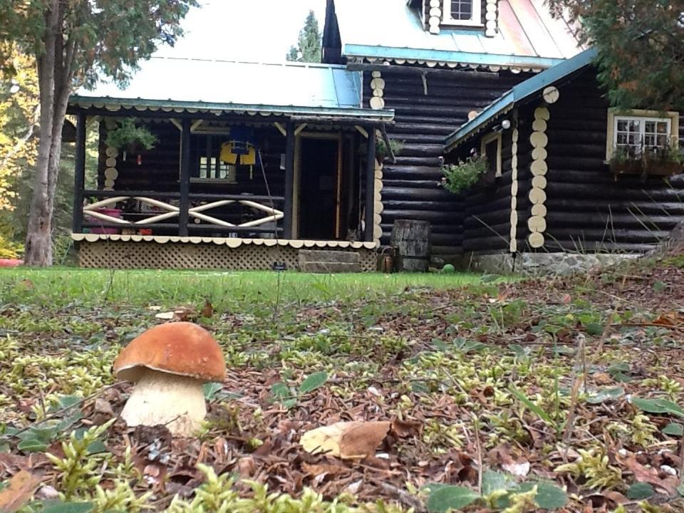 Domaine Le Bostonnais - Le Village En Bois Rond La Tuque Esterno foto